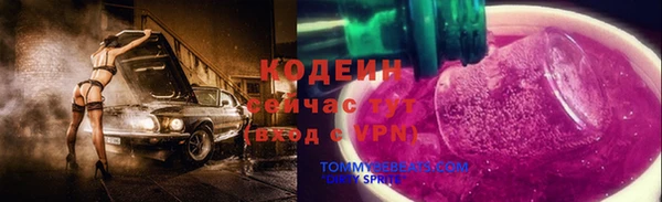 2c-b Заводоуковск