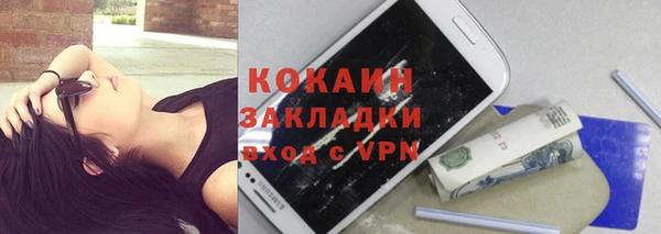 прущие грибы Заволжье
