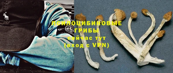 меф Заволжск