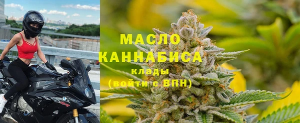 прущие грибы Заволжье