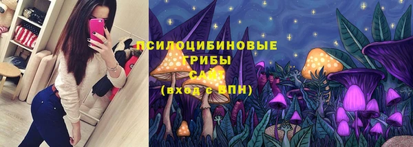 2c-b Заводоуковск
