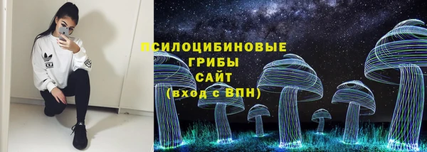 прущие грибы Заволжье