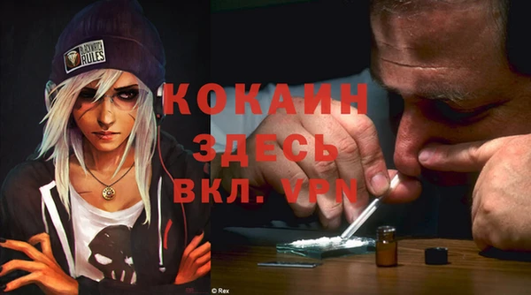 прущие грибы Заволжье