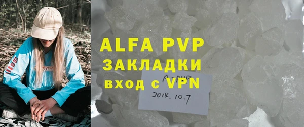 прущие грибы Заволжье