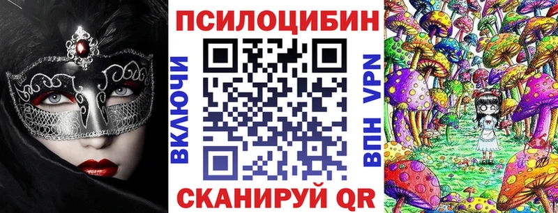 Купить  Вязники  Галлюциногенные грибы GOLDEN TEACHER 